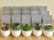 Load image into Gallery viewer, Giveaways, Event Tokens or Party Favors