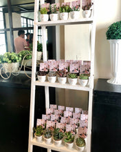 Load image into Gallery viewer, Giveaways, Event Tokens or Party Favors