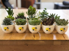 Load image into Gallery viewer, Giveaways, Event Tokens or Party Favors