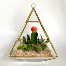 Load image into Gallery viewer, Geometric Terrarium