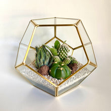 Load image into Gallery viewer, Geometric Terrarium