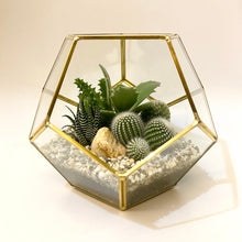 Load image into Gallery viewer, Geometric Terrarium