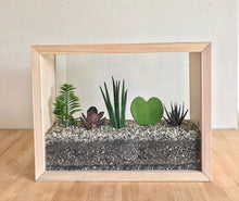 Load image into Gallery viewer, Wooden Terrarium - Basic