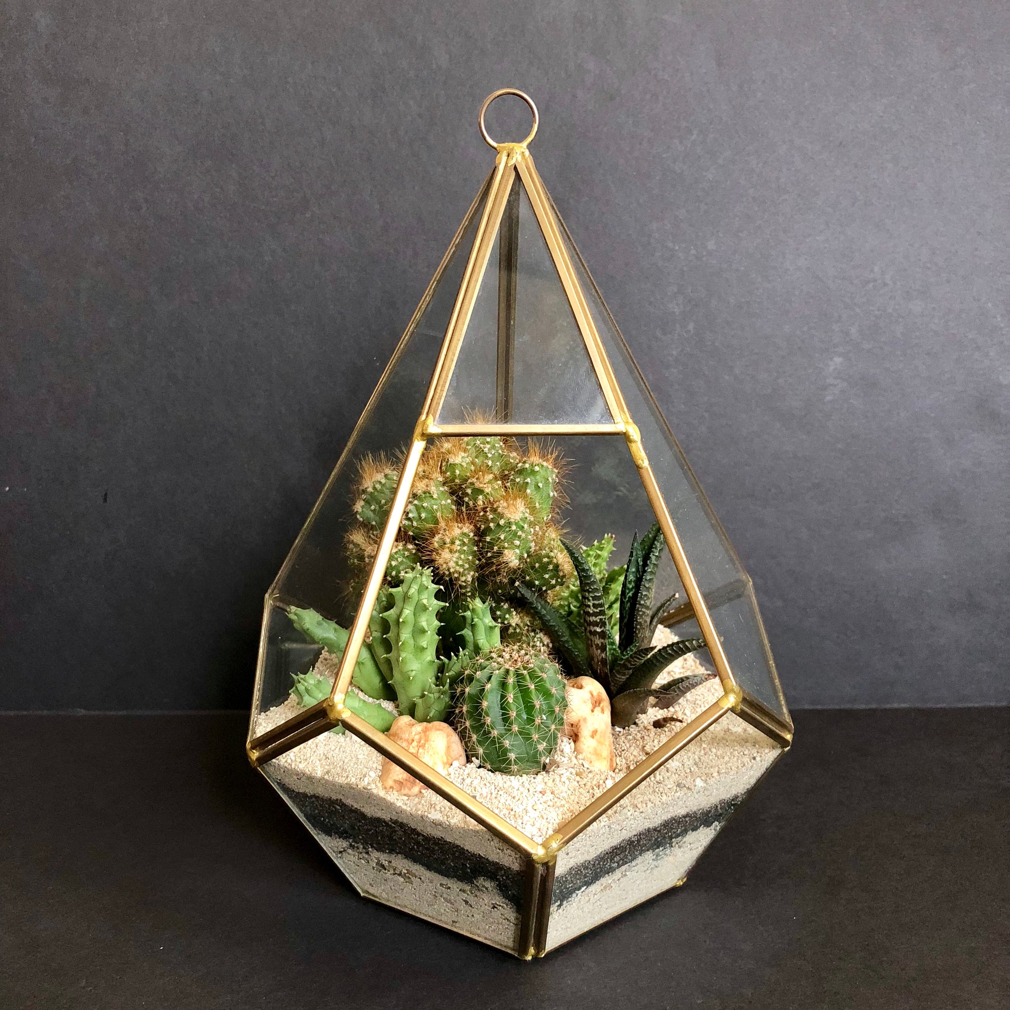 succulent terrarium geometric Geometric Terrarium – SucculentsPH