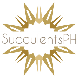 SucculentsPH