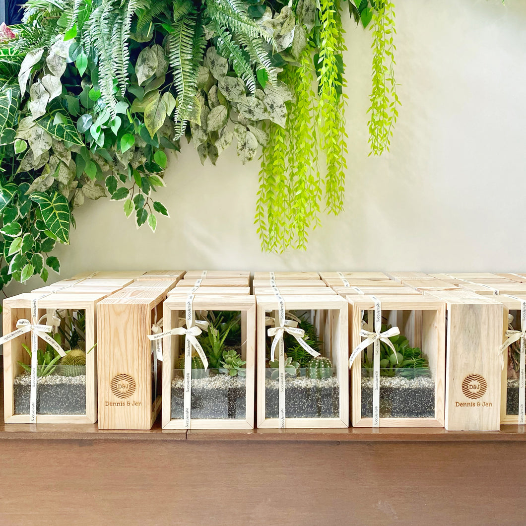 Wooden Terrarium - Basic